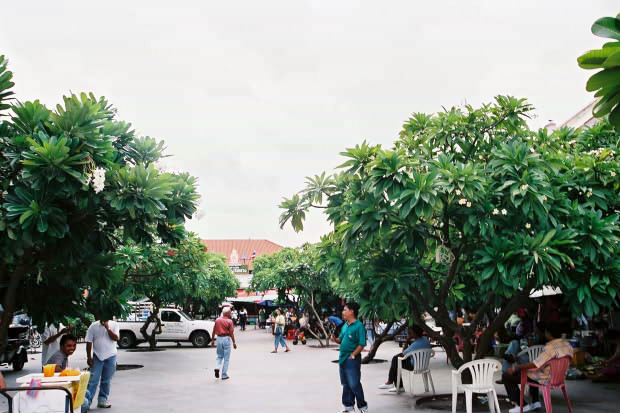 �o���R�N�ҁE���̂Q
(620�~413pixel,80.7KB)