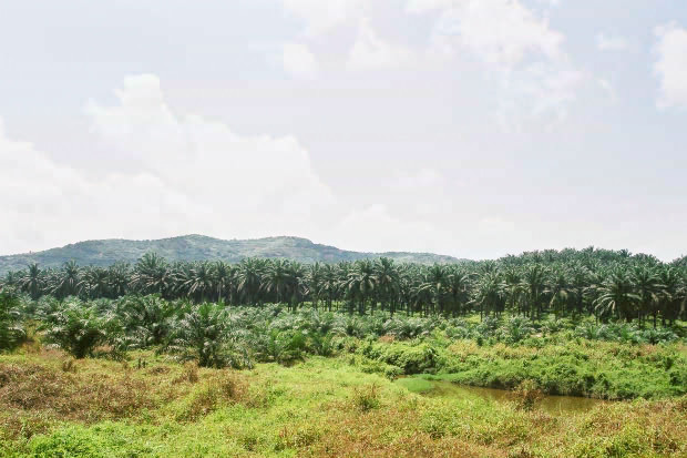 �}���[�V�A�ҁE���̂P
(620�~413pixel,70.7KB)