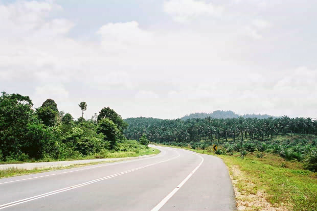 �}���[�V�A�ҁE���̂P
(620�~413pixel,53.5KB)