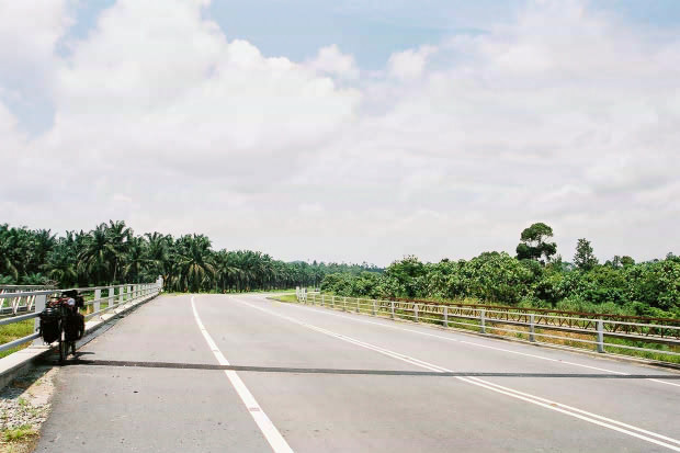 �}���[�V�A�ҁE���̂P
(620�~413pixel,51.0KB)