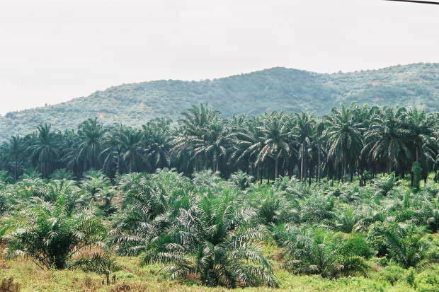 �}���[�V�A�ҁE���̂P
(620�~413pixel,100.2KB)