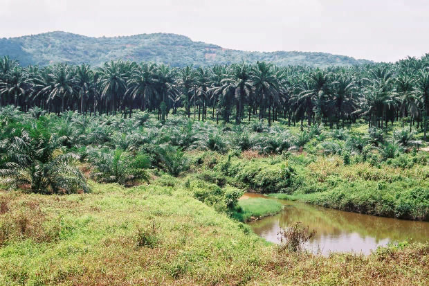 �}���[�V�A�ҁE���̂P
(620�~413pixel,119.9KB)