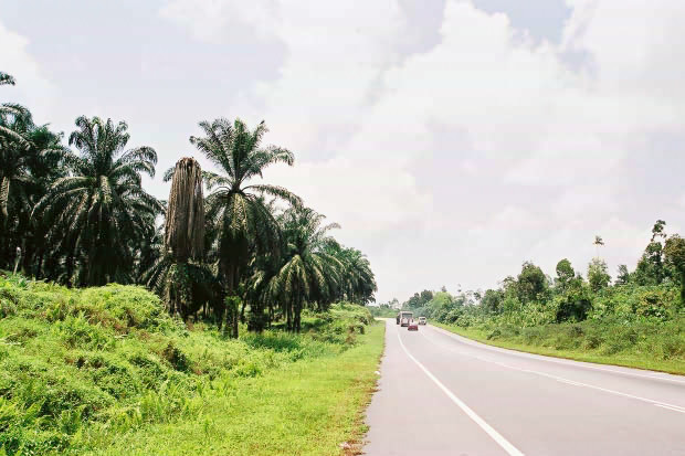 �}���[�V�A�ҁE���̂P
(620�~413pixel,71.8KB)