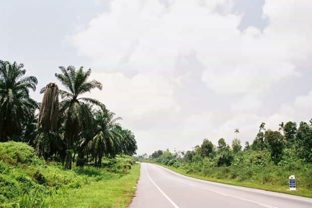 �}���[�V�A�ҁE���̂P
(620�~413pixel,61.3KB)