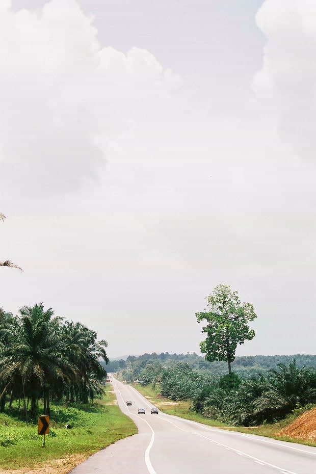 �}���[�V�A�ҁE���̂P
(620�~930pixel,85.6KB)