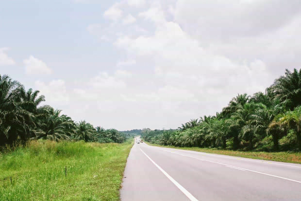 �}���[�V�A�ҁE���̂P
(620�~413pixel,50.6KB)