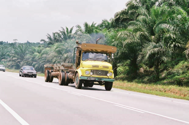 �}���[�V�A�ҁE���̂P
(620�~413pixel,80.0KB)