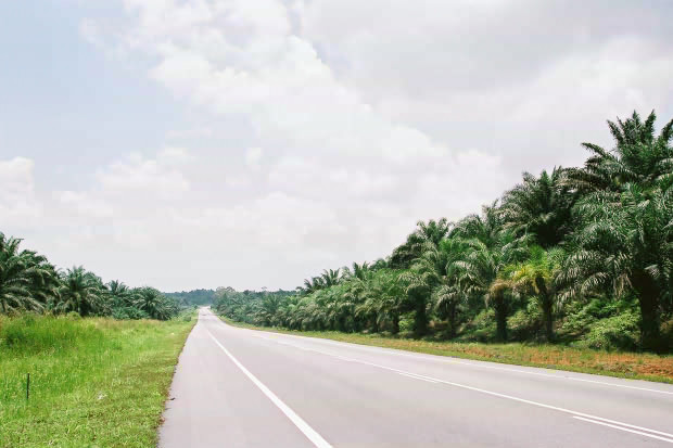 �}���[�V�A�ҁE���̂P
(620�~413pixel,53.2KB)