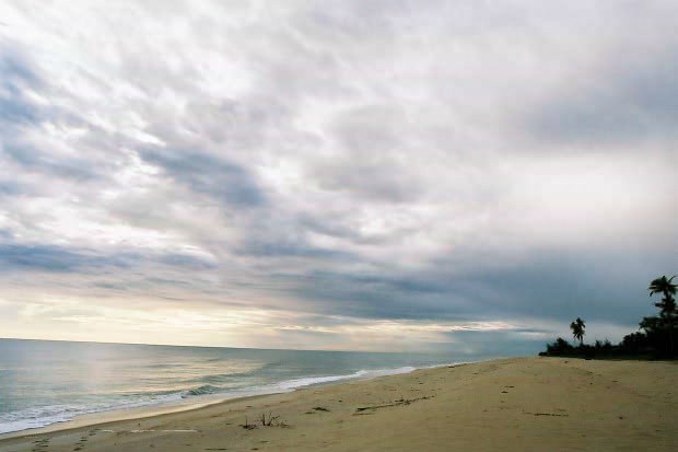 �}���[�V�A�ҁE���̂R
(620�~413pixel,34.6KB)