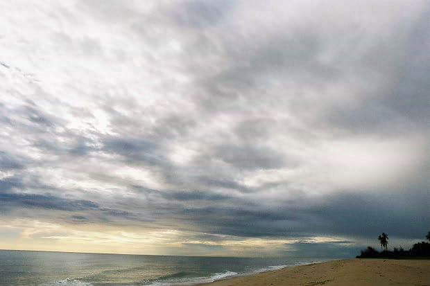 �}���[�V�A�ҁE���̂R
(620�~413pixel,34.7KB)