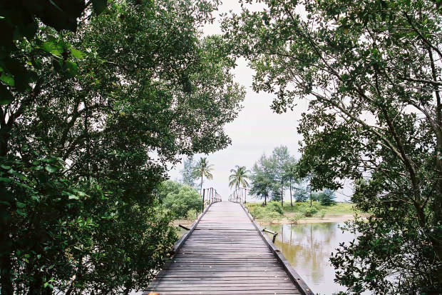 �}���[�V�A�ҁE���̂R
(620�~413pixel,136.4KB)