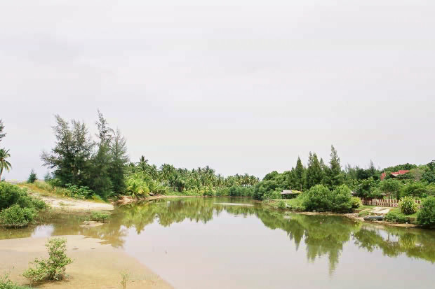 �}���[�V�A�ҁE���̂R
(620�~413pixel,45.4KB)