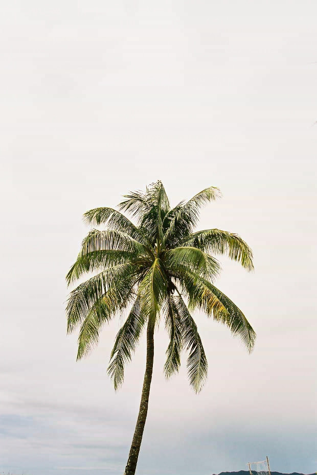 �}���[�V�A�ҁE���̂R
(620�~930pixel,89.3KB)