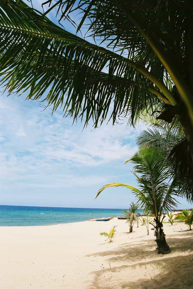 �}���[�V�A�ҁE���̂R
(620�~930pixel,187.0KB)