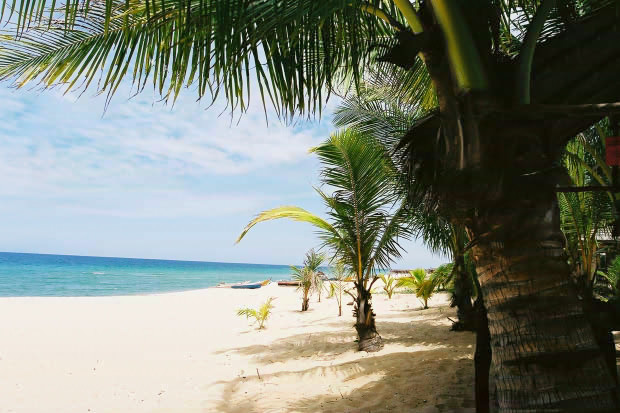 �}���[�V�A�ҁE���̂R
(620�~413pixel,76.0KB)