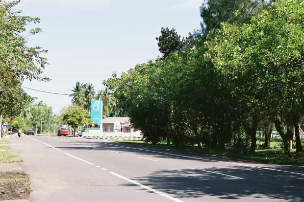 �}���[�V�A�ҁE���̂T
(620�~413pixel,92.4KB)