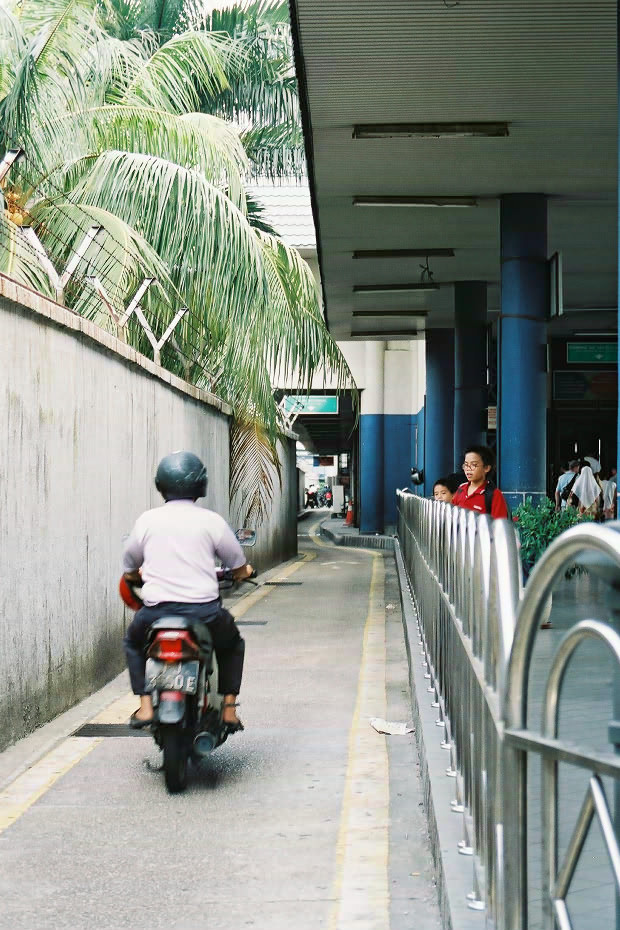 �}���[�V�A�ҁE���̂U
(620�~930pixel,177.3KB)