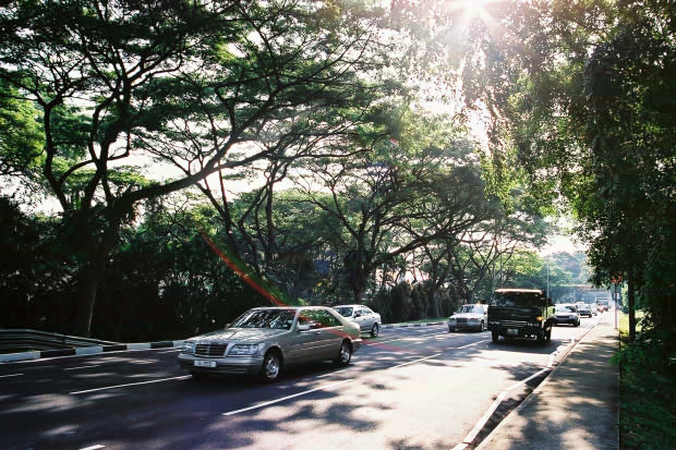 �V���K�|�[���E���̂P
(620�~413pixel,115.0KB)