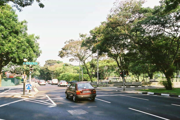 �V���K�|�[���E���̂P
(620�~413pixel,107.9KB)