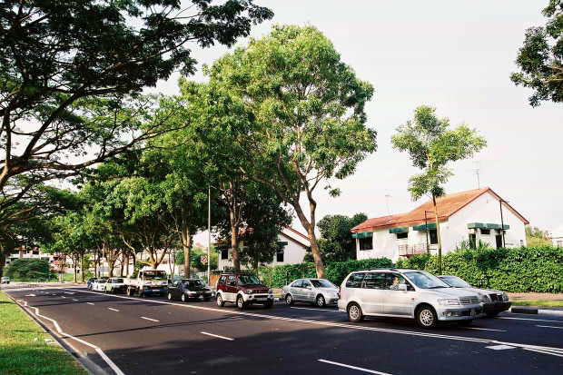 �V���K�|�[���E���̂P
(620�~413pixel,115.1KB)