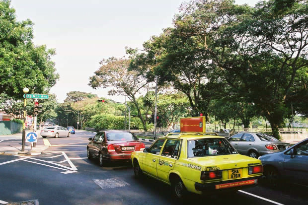 �V���K�|�[���E���̂P
(620�~413pixel,107.9KB)