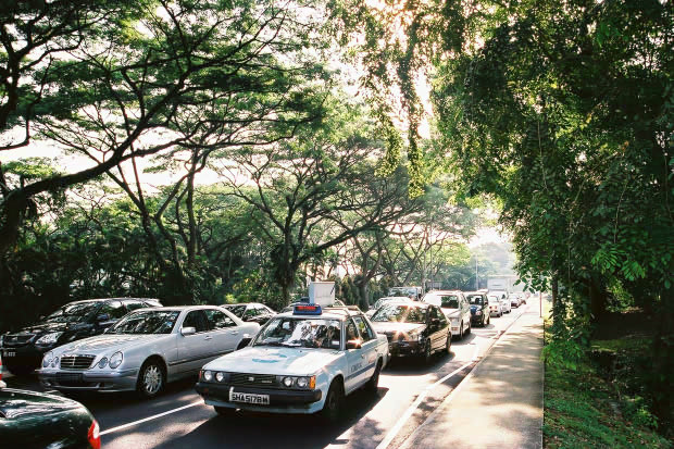 �V���K�|�[���E���̂P
(620�~413pixel,132.4KB)