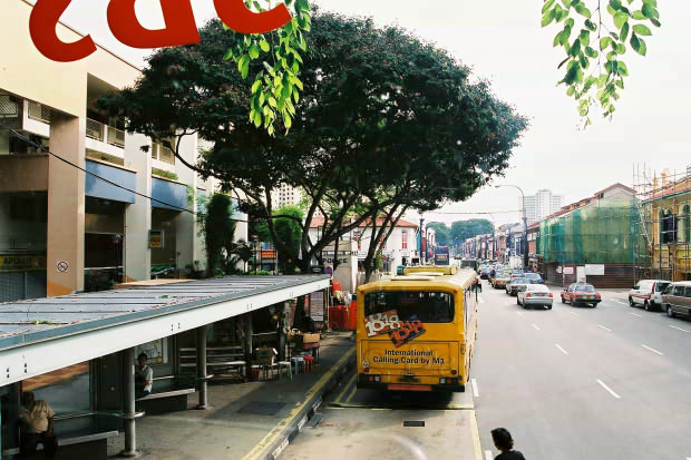 �V���K�|�[���E���̂P
(620�~413pixel,89.6KB)