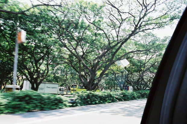 �V���K�|�[���E���̂P
(620�~413pixel,117.9KB)