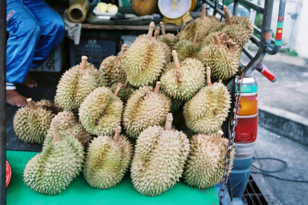 �^�C�ҁE���̂R
(620�~413pixel,92.2KB)