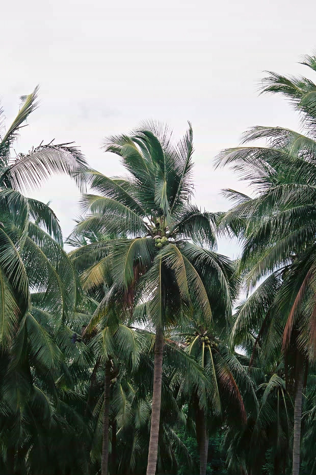 �^�C�ҁE���̂S
(620�~930pixel,195.5KB)