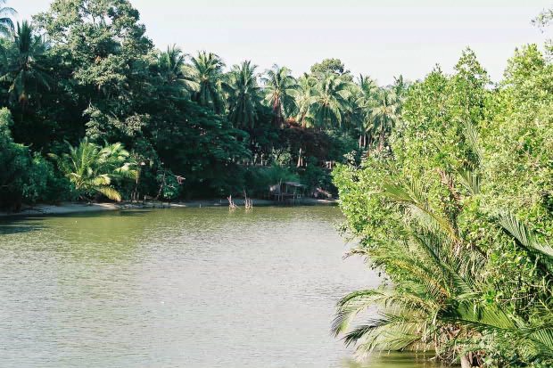 �^�C�ҁE���̂W
(620�~413pixel,107.6KB)