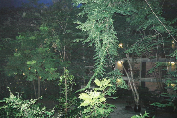 �^�C�ҁE���̂W
(620�~413pixel,102.8KB)