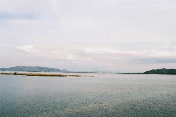 �^�C�ҁE���̂X
(620�~413pixel,32.2KB)