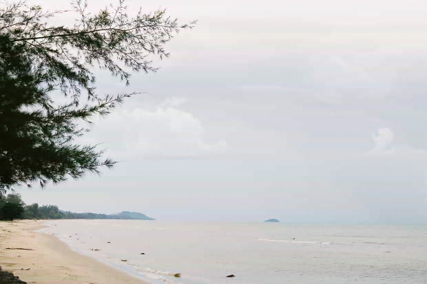 �^�C�ҁE���̂X
(620�~413pixel,40.3KB)