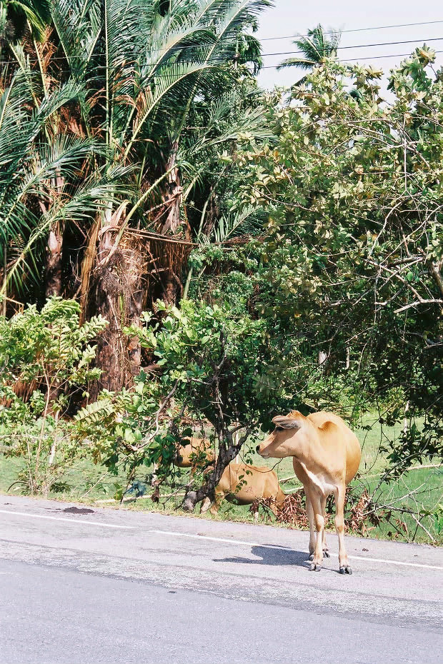 �^�C�ҁE���̂P�O
(620�~930pixel,326.4KB)