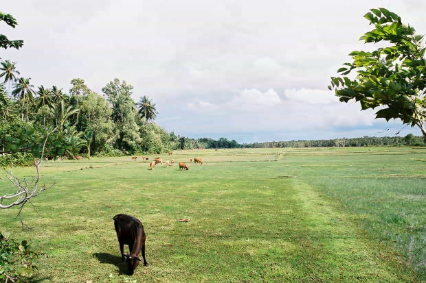 �^�C�ҁE���̂P�O
(620�~413pixel,92.3KB)