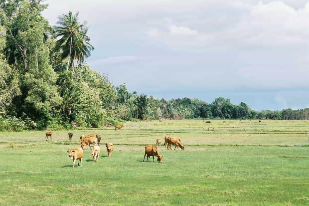 �^�C�ҁE���̂P�O
(620�~413pixel,84.5KB)