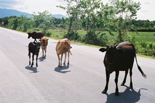 �^�C�ҁE���̂P�O
(620�~413pixel,78.9KB)