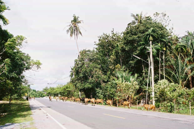 �^�C�ҁE���̂P�O
(620�~413pixel,94.7KB)