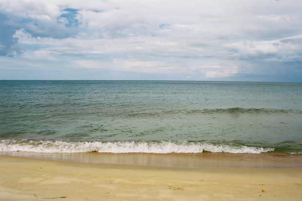 �^�C�ҁE���̂P�P
(620�~413pixel,47.3KB)