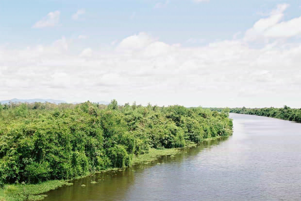 �^�C�ҁE���̂P�P
(620�~413pixel,62.4KB)