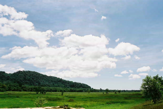 �^�C�ҁE���̂P�P
(620�~413pixel,46.5KB)