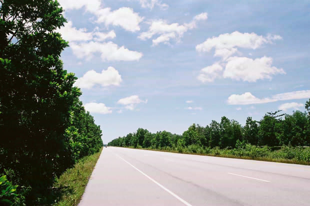 �^�C�ҁE���̂P�P
(620�~413pixel,58.2KB)