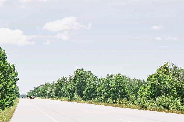 �^�C�ҁE���̂P�P
(620�~413pixel,50.6KB)