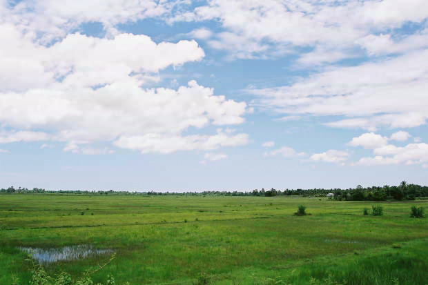 �^�C�ҁE���̂P�P
(620�~413pixel,48.6KB)