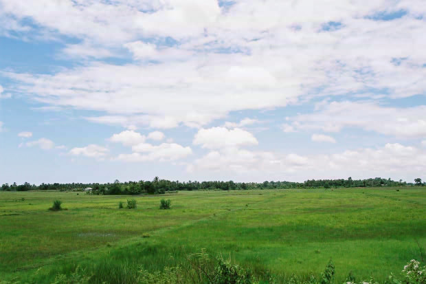 �^�C�ҁE���̂P�P
(620�~413pixel,48.2KB)