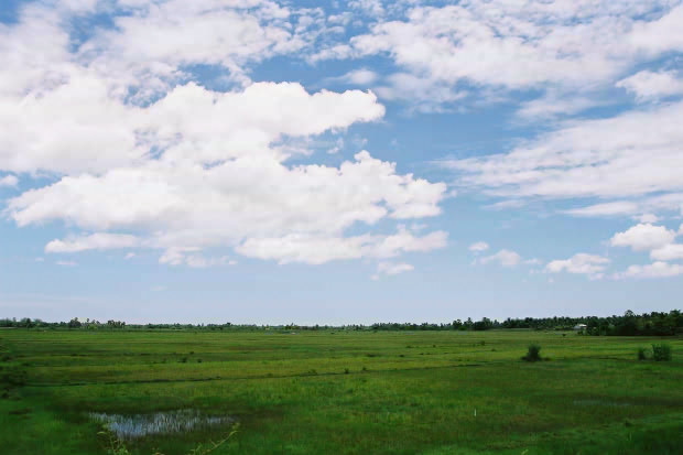 �^�C�ҁE���̂P�P
(620�~413pixel,46.2KB)