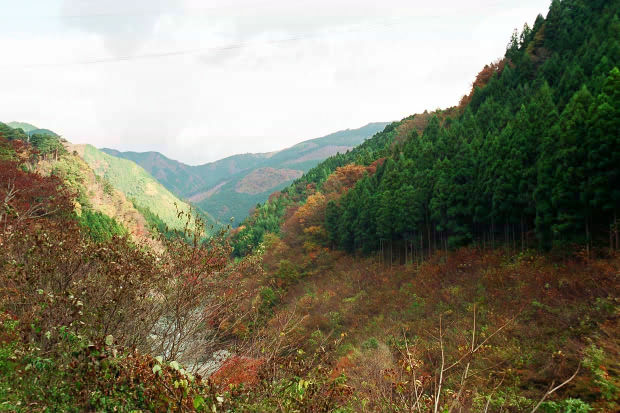 �H�̑c�J
(620�~413pixel,66.0KB)