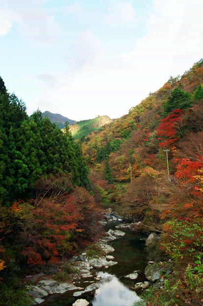 �H�̑c�J
(413�~620pixel,57.8KB)