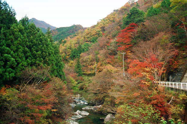 �H�̑c�J
(620�~413pixel,85.3KB)